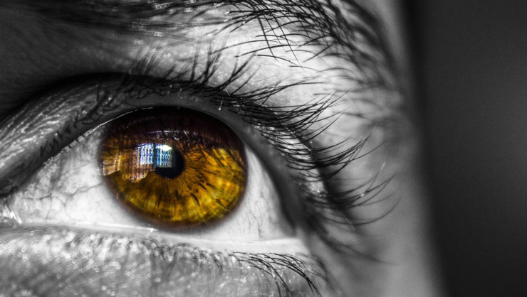 Premium Vector  Eyes retina and yellow pupila
